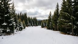 Снежен връх